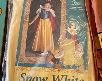 Vintage Snow White Costume