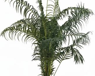 Artificial Areca Palm Plant in Decorative Pot