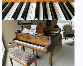 Sojin Grand Piano $300