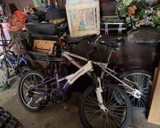 Bikes, diamond back and more