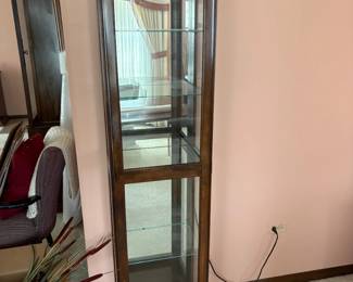 lighted curio cabinet solid wood and glass