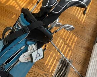 Titleist Golf Stand Bag with Tour Edge Wood Set