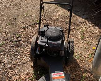 Lawn Trimmer/Edger 
