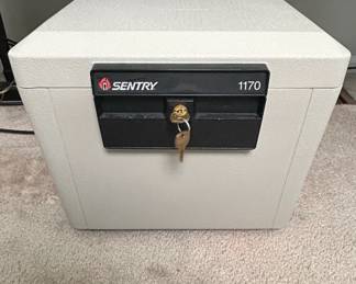 SentrySafe Fireproof Home Safe
