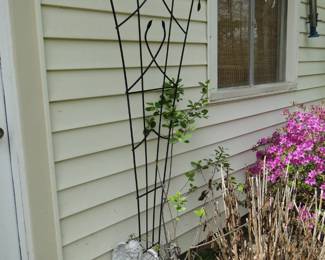 Small garden angel, and large vine arch