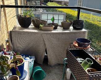 Lots of outside plants