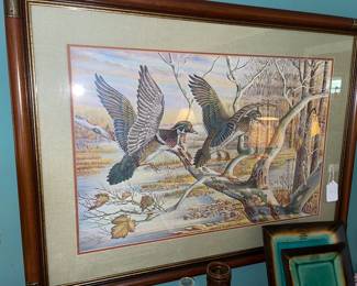 Duck Pic by Tony Biagi