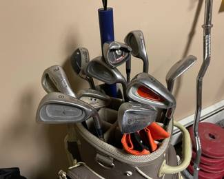 Great divider golf bag with several clubs