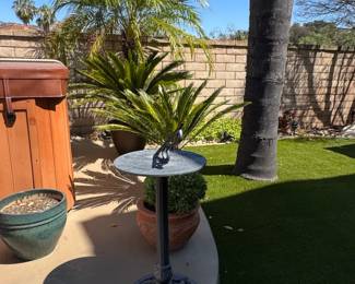 Ornate Cast Iron Bird Bath with Pedestal