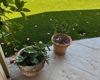 Vintage Decorative Planter with Ivy