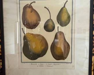 Antique Botanical Print of Pears by Breant, Plate LVIII