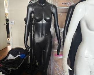 Mannequin - not part of clearance sale - full price
