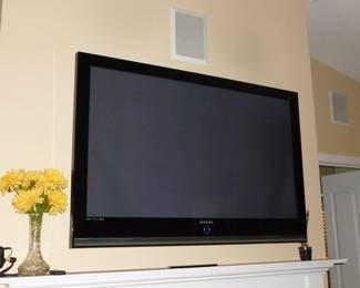 Samsung TV (wall mount stays)