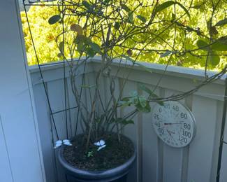 Taylor Analog Thermometer