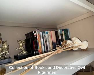 Collection of Books and Decorative Owl Figurines