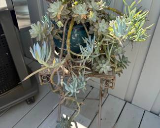 Mixed Succulent Arrangement with Jade Plant and Blue Chalk Sticks in Decorative Planter on Stand