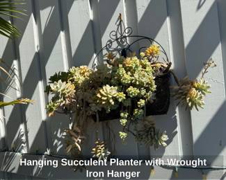 Hanging Succulent Planter with Wrought Iron Hanger