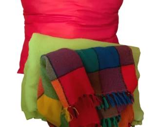 3007 - Lot of Pillows & Blankets