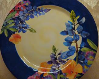 Patio dinner plates. New. Never used. 16 total.