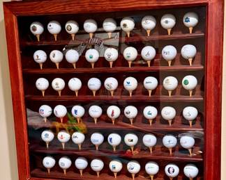 Golf Ball/Tee Collection with Case with 54 Golf Balls