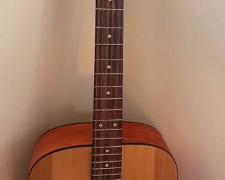 Jasmine Guitar by Takamine