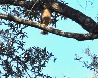 On the Hunt for Treasures