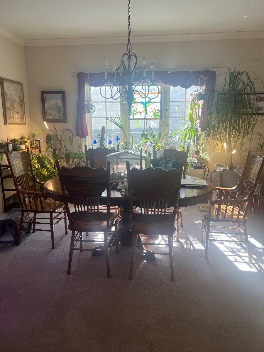 Dining Room table / Live and Artificial Plants