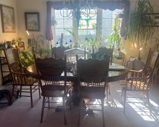 Dining Room table / Live and Artificial Plants