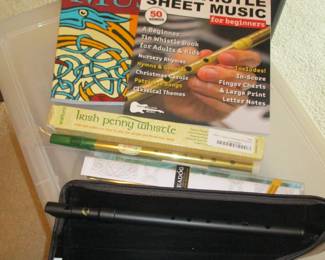 Irish music 