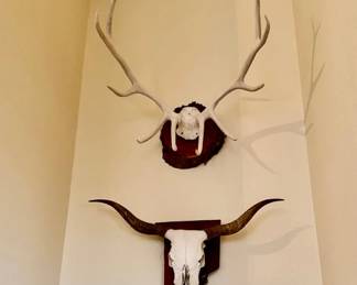 Elk Euro Mount