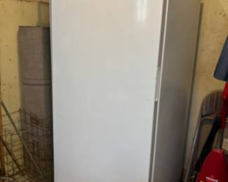 Standing Freezer