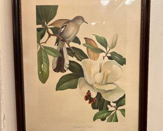 Artwork - Mockingbird and Magnolia By Roger Peterson