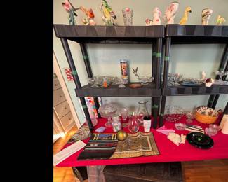 Birds, Bunnies, & More