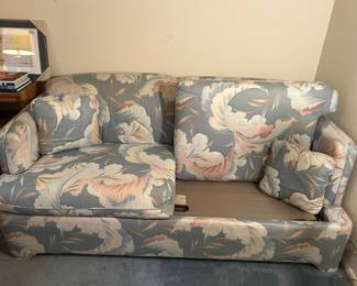 Sleeper sofa. 