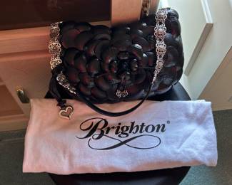 Brighten purse with dust bag. 