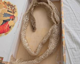 Snake Skin