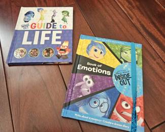 Disney Inside Out boks