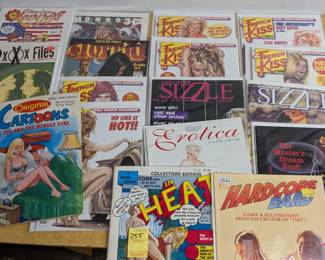 Adult Cartoon Magazine Lot