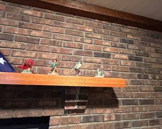 A collection of birds