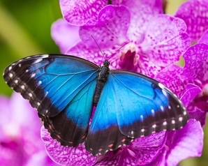 BY APPOINTMENT ONLY-THANK YOU🦋