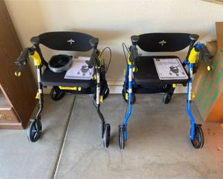 Two Matted And Framed Print Pictures