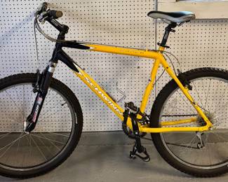 Schwinn Mesa GS Bike