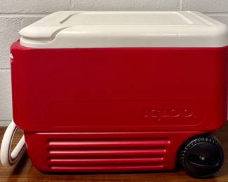 Igloo Cooler