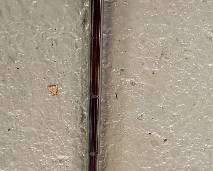 Ping Karsten Pal 2i Putter