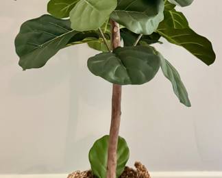 Faux Fig Tree in Wicker Basket