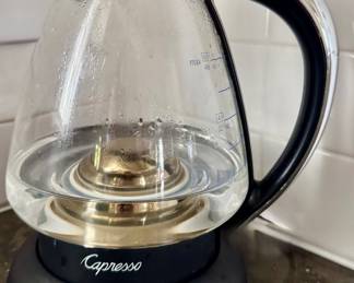 Capresso Tea Kettle