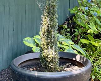 Oversized Lightweight Planter