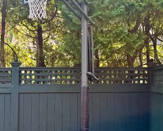 Lifetime Basketball Hoop