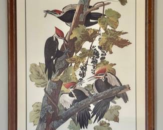 "Pileated Woodpecker" Hand Colored Engraving 967/1500