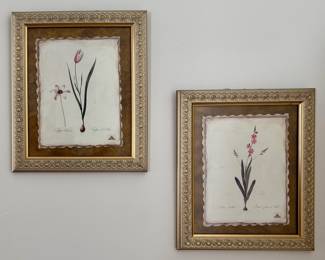 Botanical Prints